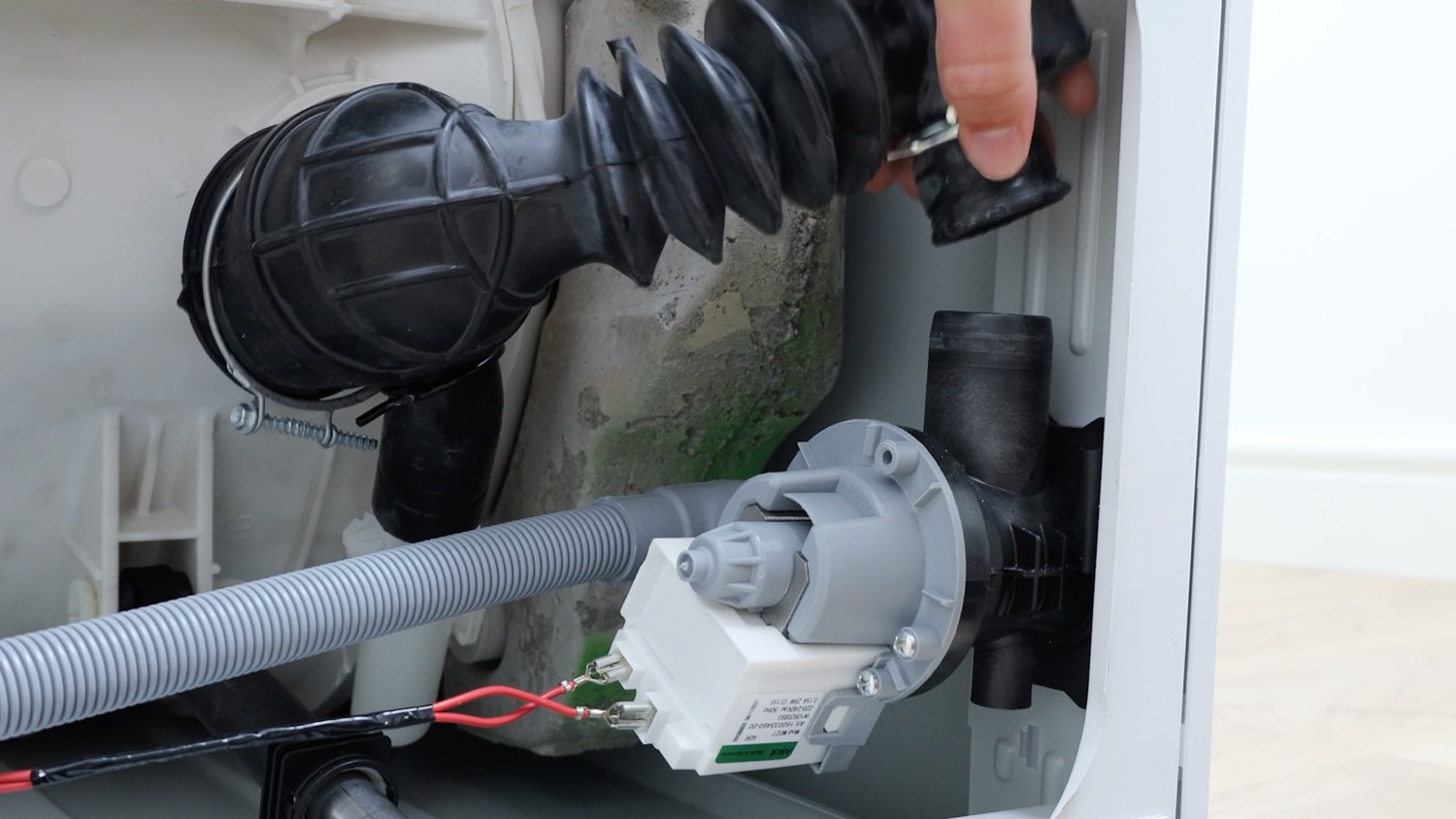 Remove hose from drain pump